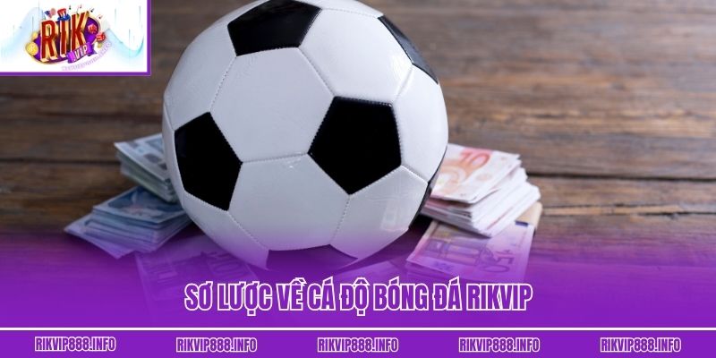 Cá Độ Bóng Đá Rikvip – Chinh Phục Mọi Trận Cầu Kinh Điển Sơ lược về cá độ bóng đá