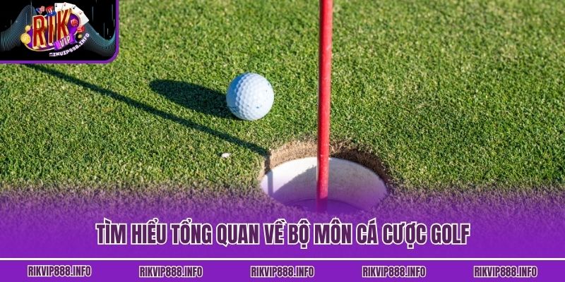 Cá Cược Golf - Thử Thách Thể Thao Hấp Dẫn Tại Rikvip Tìm hiểu tổng quan về bộ môn cá cược golf